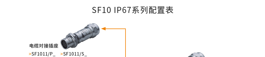 SF10.1 SF10.1